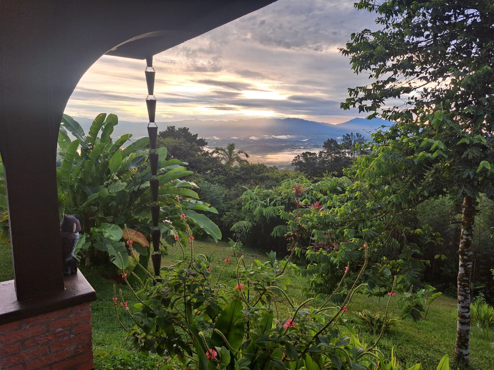 WhatsApp Image 2026-02-04 at 11.37.32 PM