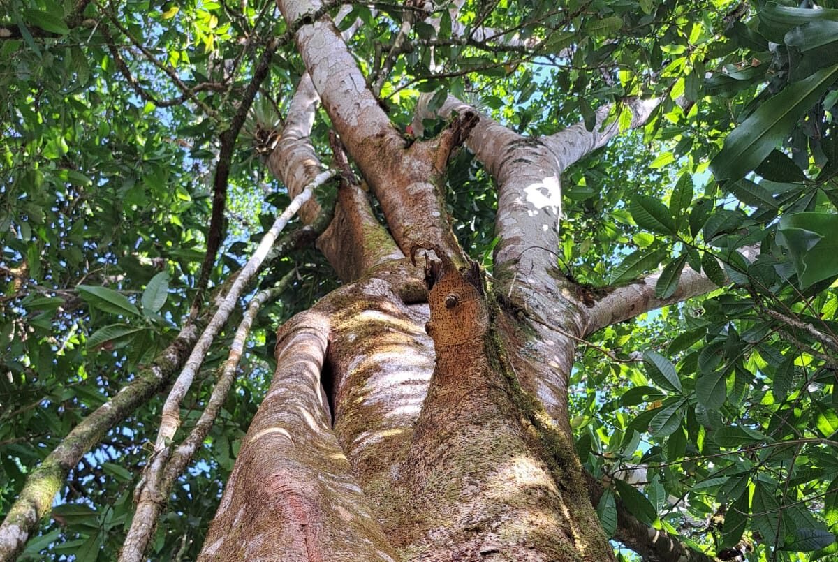 WhatsApp Image 2026-02-04 at 11.37.33 PM (1)