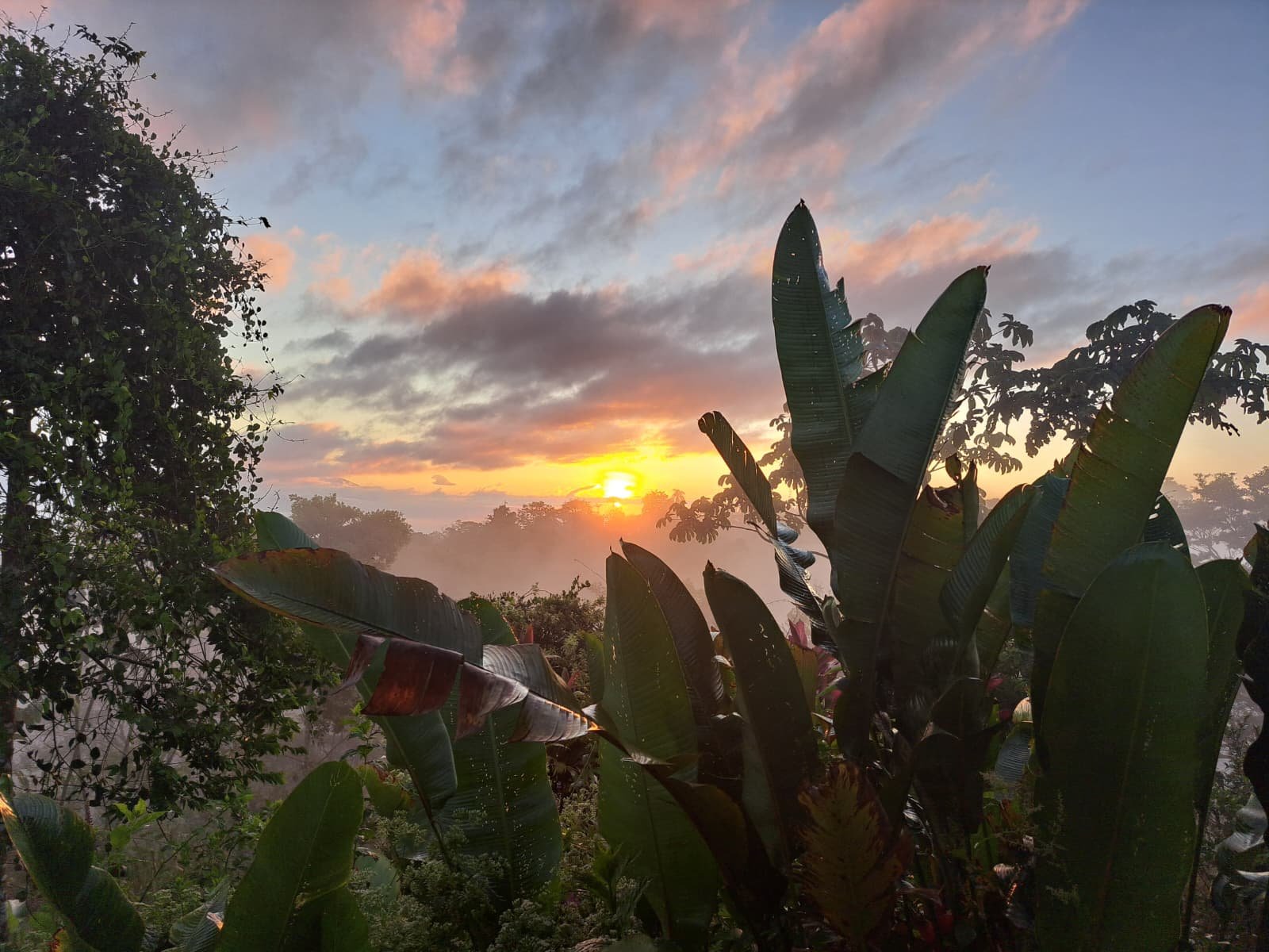 WhatsApp Image 2026-02-04 at 11.37.34 PM