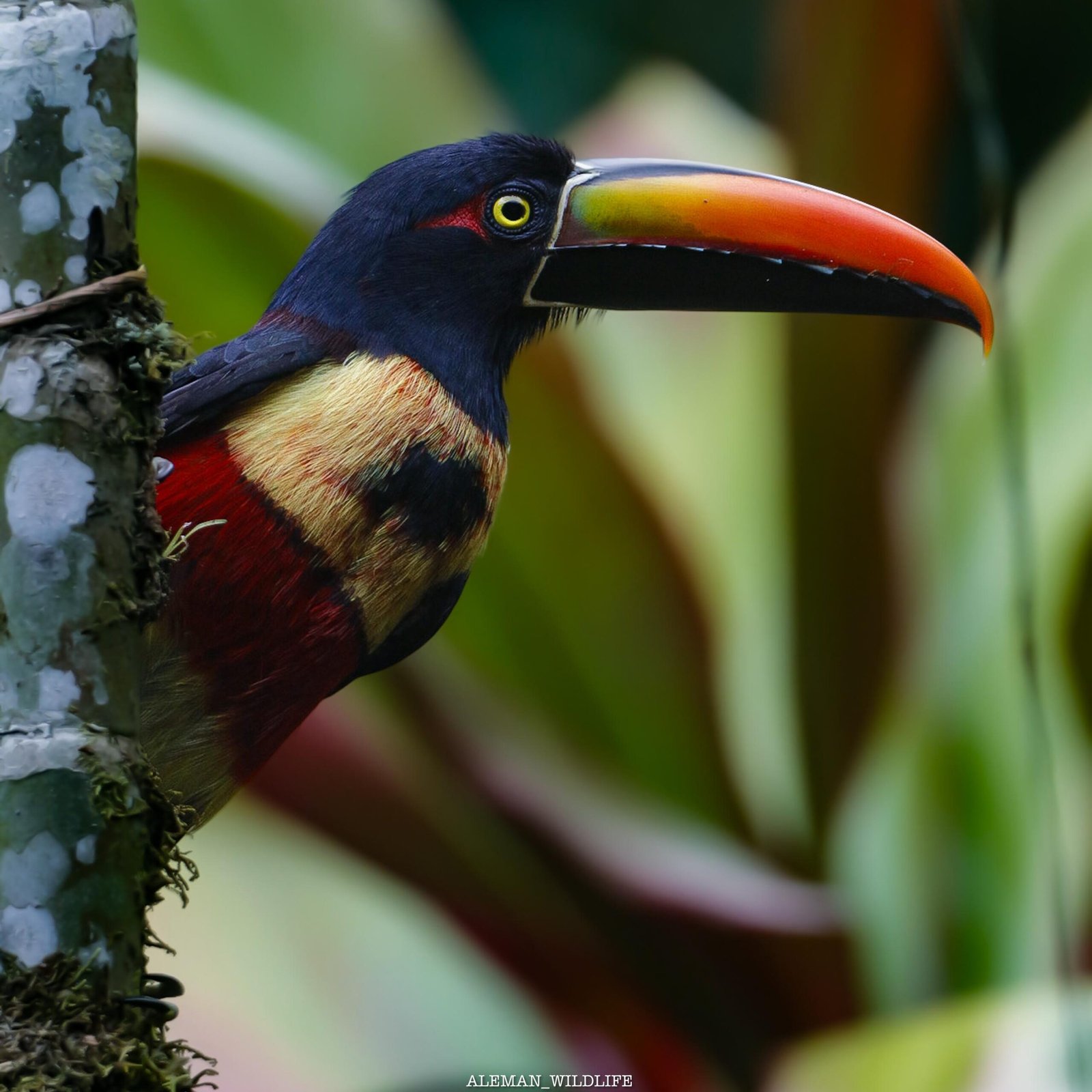 WhatsApp Image 2026-02-04 at 11.38.38 PM